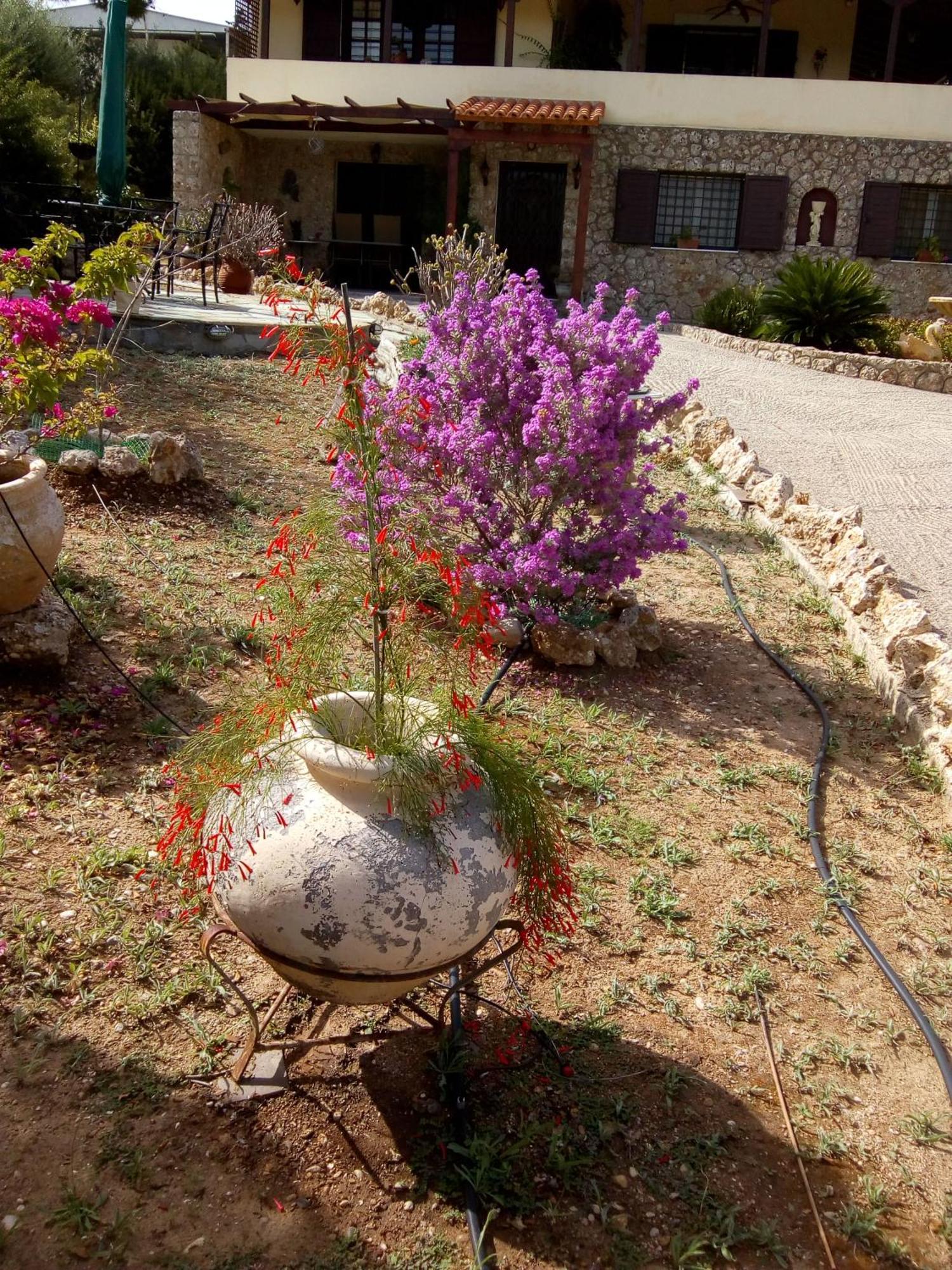 Villa Rita - Porto Heli Exterior photo